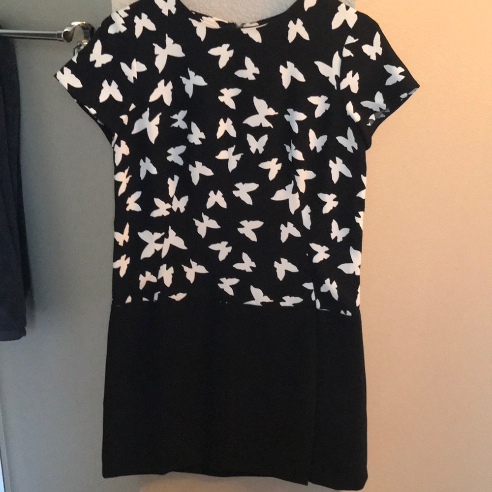 Loft shift dress